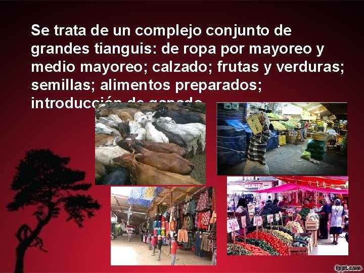 Se trata de un complejo conjunto de grandes tianguis: de ropa por mayoreo y