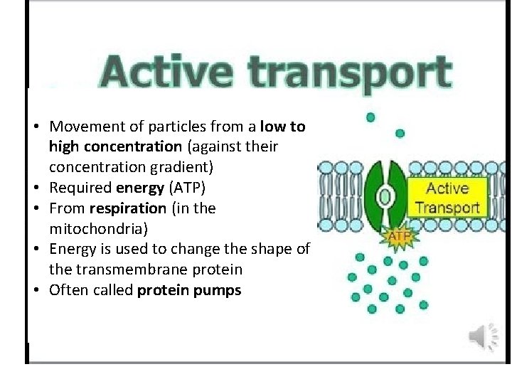  • Movement of particles from a low to high concentration (against their concentration