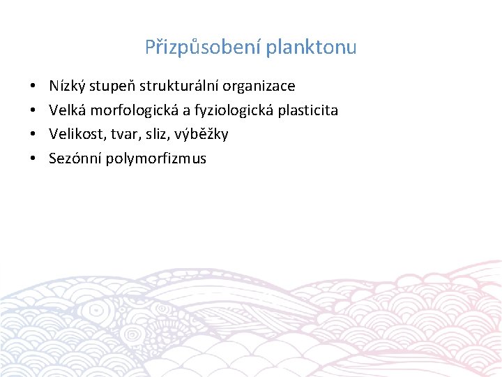 Přizpůsobení planktonu • • Nízký stupeň strukturální organizace Velká morfologická a fyziologická plasticita Velikost,
