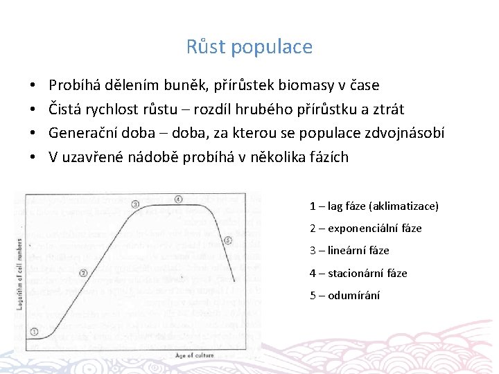 Růst populace • • Probíhá dělením buněk, přírůstek biomasy v čase Čistá rychlost růstu