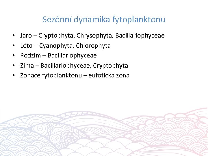 Sezónní dynamika fytoplanktonu • • • Jaro – Cryptophyta, Chrysophyta, Bacillariophyceae Léto – Cyanophyta,