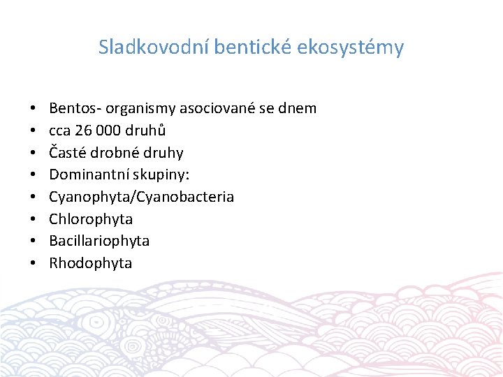 Sladkovodní bentické ekosystémy • • Bentos- organismy asociované se dnem cca 26 000 druhů