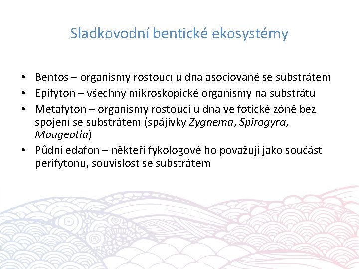 Sladkovodní bentické ekosystémy • Bentos – organismy rostoucí u dna asociované se substrátem •