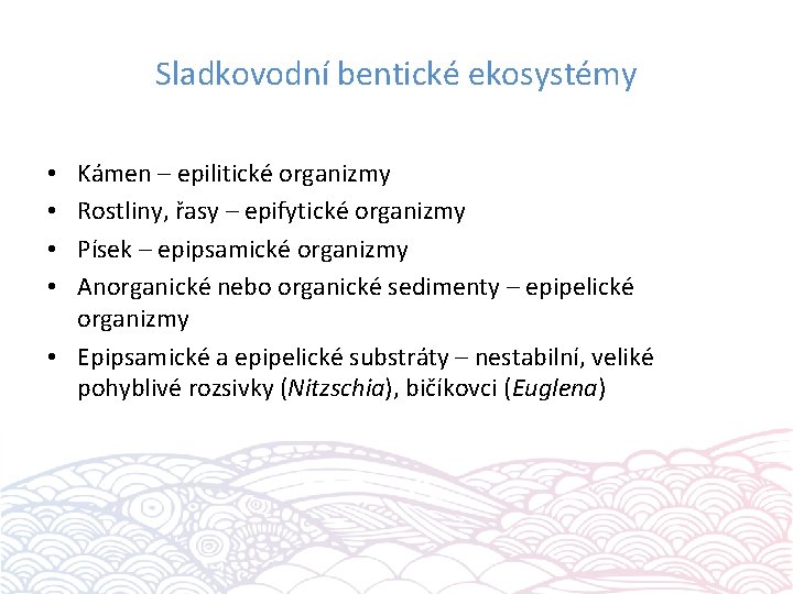 Sladkovodní bentické ekosystémy Kámen – epilitické organizmy Rostliny, řasy – epifytické organizmy Písek –