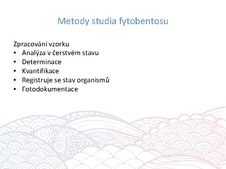 Metody studia fytobentosu Zpracování vzorku • Analýza v čerstvém stavu • Determinace • Kvantifikace