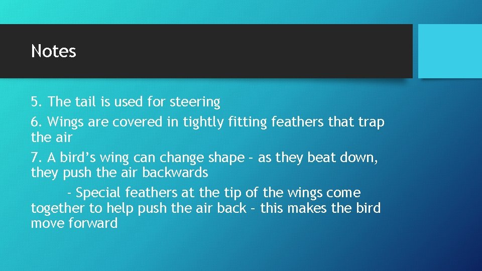Notes 5. The tail is used for steering 6. Wings are covered in tightly