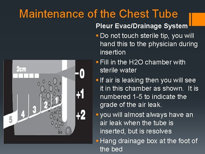 Maintenance of the Chest Tube Pleur Evac/Drainage System § Do not touch sterile tip,