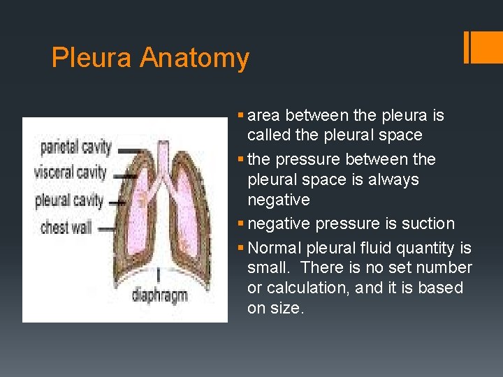 Pleura Anatomy § area between the pleura is called the pleural space § the
