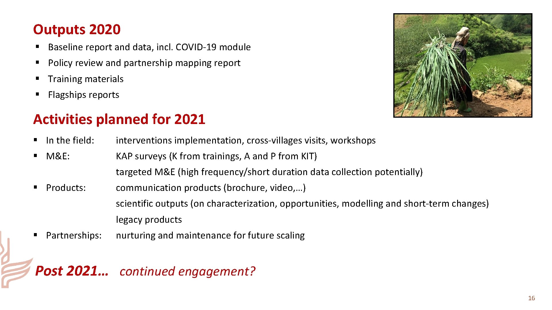 Outputs 2020 § Baseline report and data, incl. COVID-19 module § Policy review and