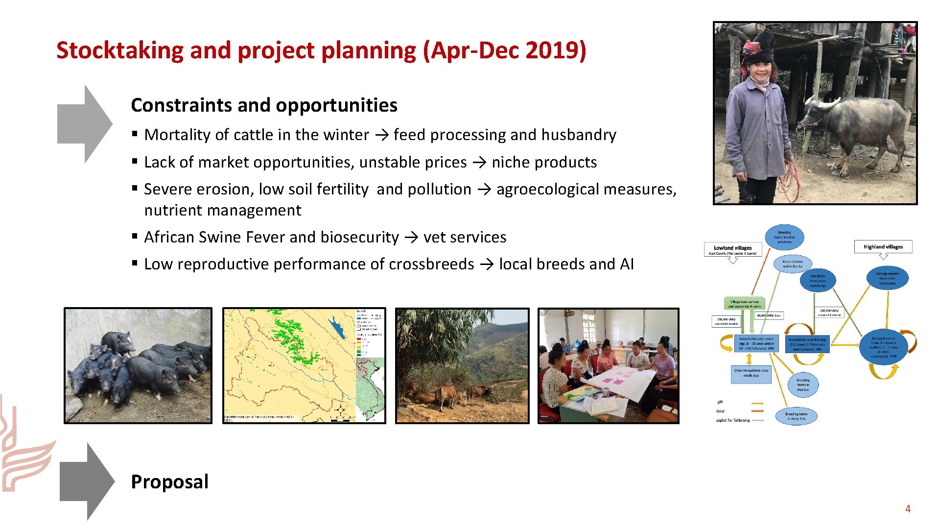 Stocktaking and project planning (Apr-Dec 2019) Constraints and opportunities § Mortality of cattle in