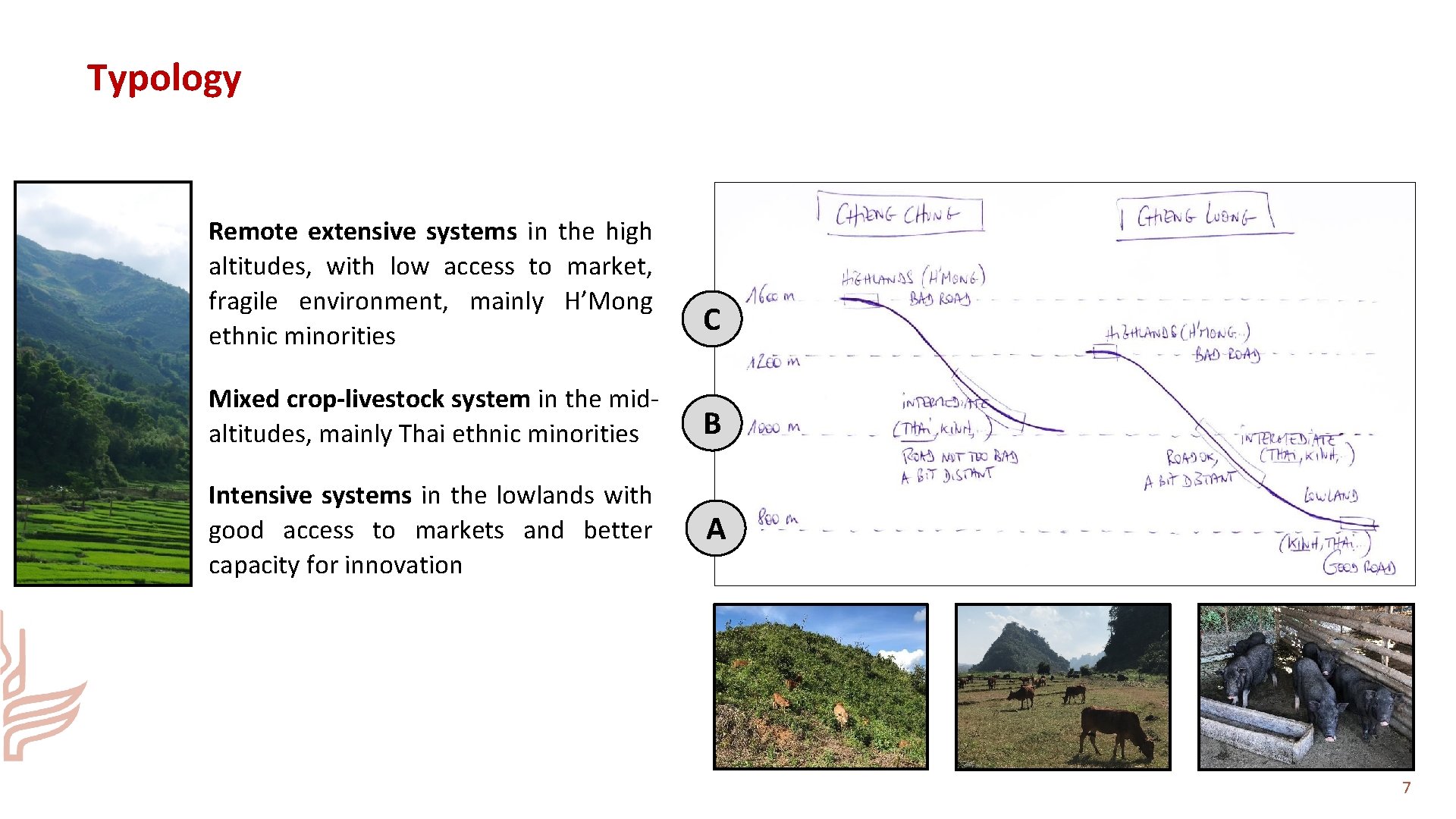 Typology Remote extensive systems in the high altitudes, with low access to market, fragile