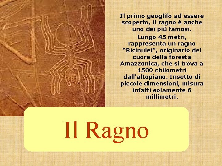 Il primo geoglifo ad essere scoperto, il ragno è anche uno dei più famosi.