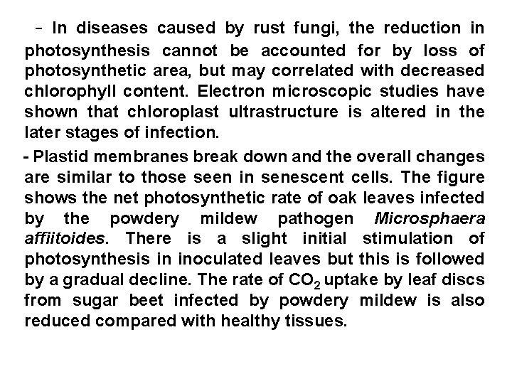 - In diseases caused by rust fungi, the reduction in photosynthesis cannot be accounted