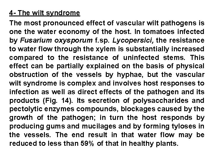 4 - The wilt syndrome The most pronounced effect of vascular wilt pathogens is