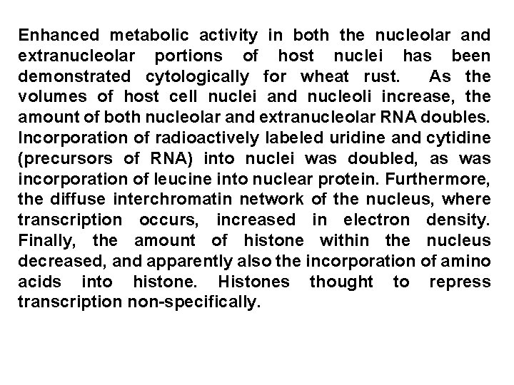 Enhanced metabolic activity in both the nucleolar and extranucleolar portions of host nuclei has