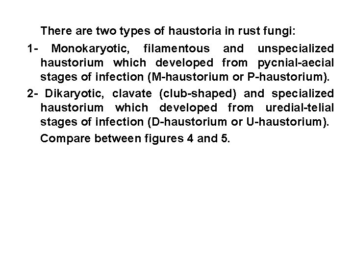 There are two types of haustoria in rust fungi: 1 - Monokaryotic, filamentous and