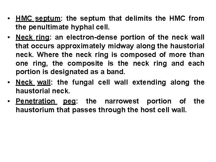  • HMC septum: the septum that delimits the HMC from the penultimate hyphal