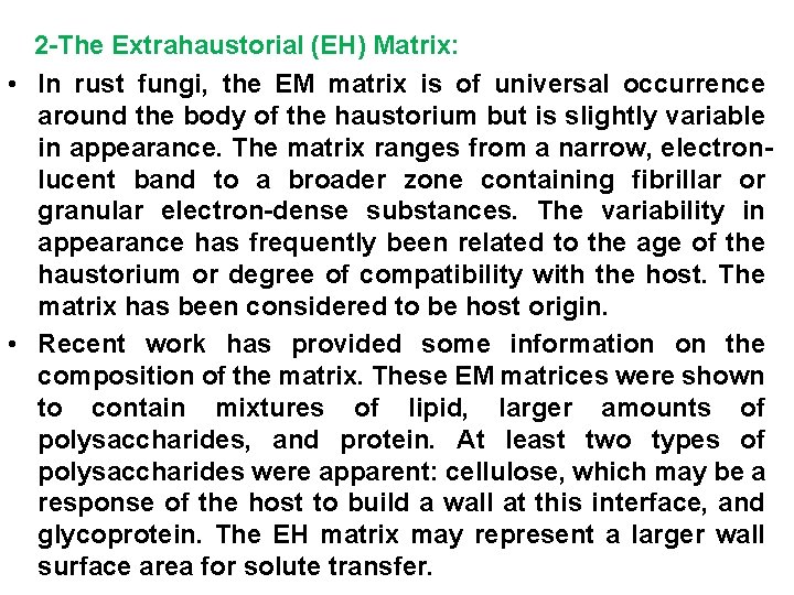 2 -The Extrahaustorial (EH) Matrix: • In rust fungi, the EM matrix is of