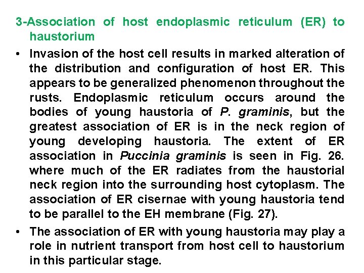3 -Association of host endoplasmic reticulum (ER) to haustorium • Invasion of the host