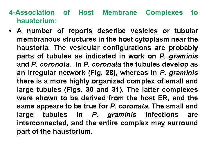 4 -Association of Host Membrane Complexes to haustorium: • A number of reports describe