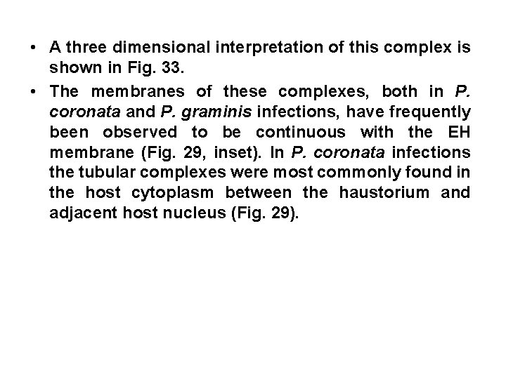  • A three dimensional interpretation of this complex is shown in Fig. 33.