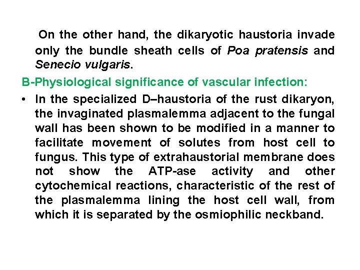 On the other hand, the dikaryotic haustoria invade only the bundle sheath cells of