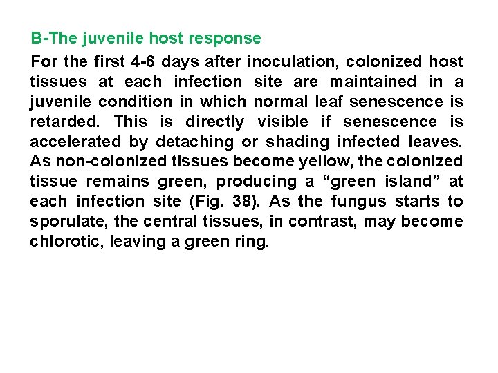 B-The juvenile host response For the first 4 -6 days after inoculation, colonized host