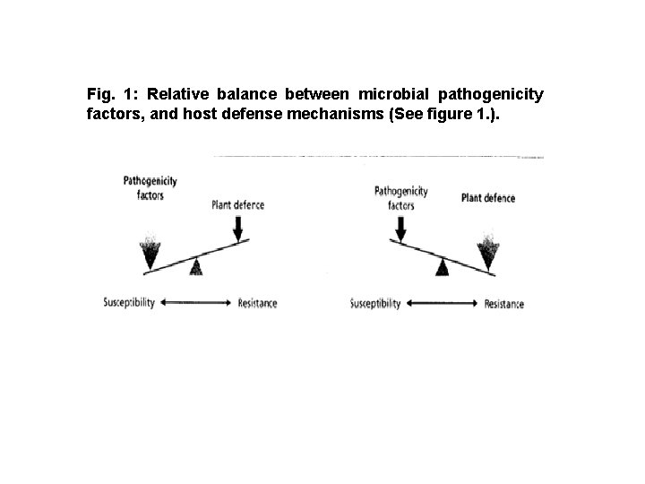Fig. 1: Relative balance between microbial pathogenicity factors, and host defense mechanisms (See figure