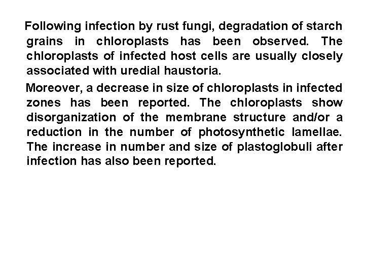 Following infection by rust fungi, degradation of starch grains in chloroplasts has been observed.
