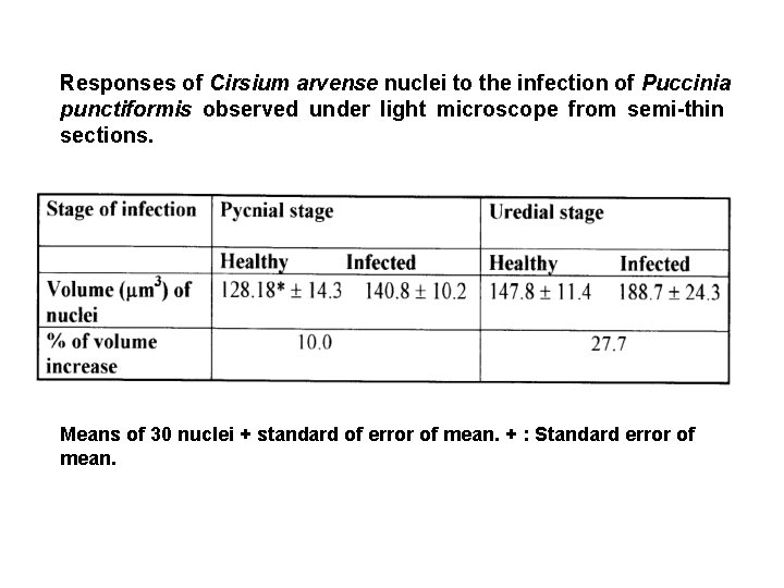 Responses of Cirsium arvense nuclei to the infection of Puccinia punctiformis observed under light