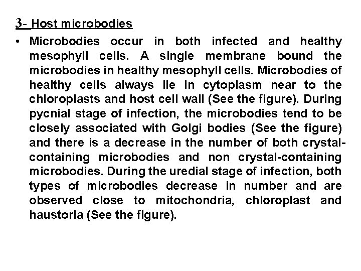 3 - Host microbodies • Microbodies occur in both infected and healthy mesophyll cells.