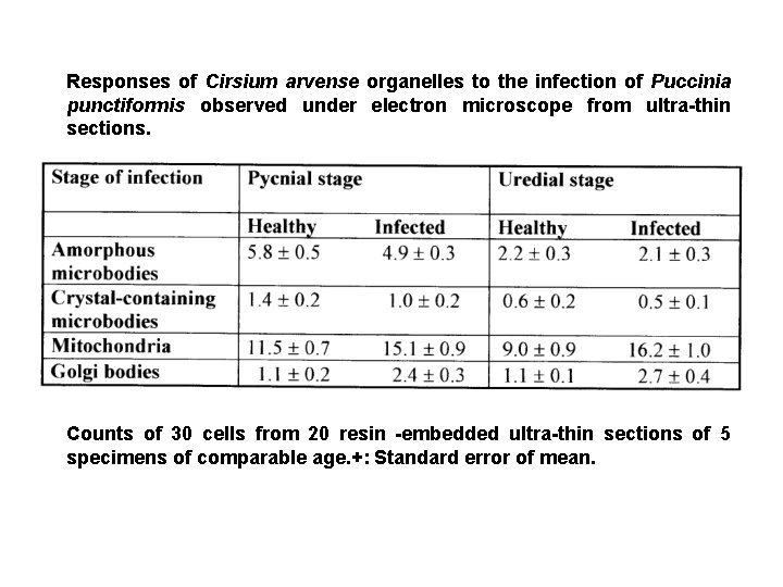 Responses of Cirsium arvense organelles to the infection of Puccinia punctiformis observed under electron