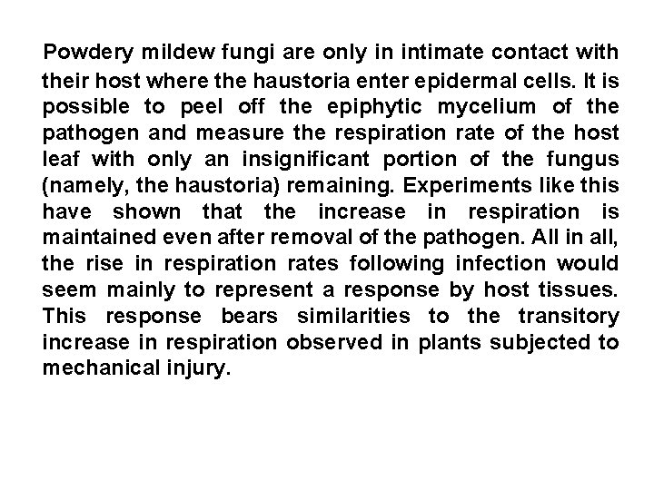 Powdery mildew fungi are only in intimate contact with their host where the haustoria