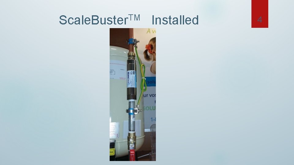 TM Scale. Buster Installed 4 