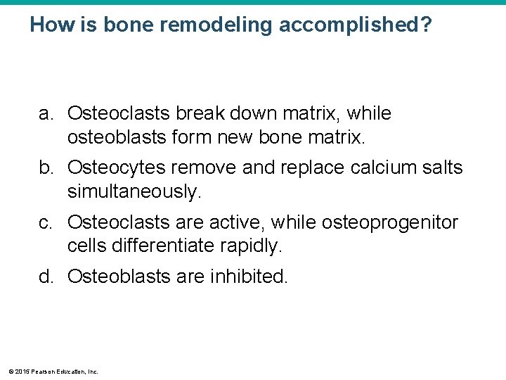 How is bone remodeling accomplished? a. Osteoclasts break down matrix, while osteoblasts form new