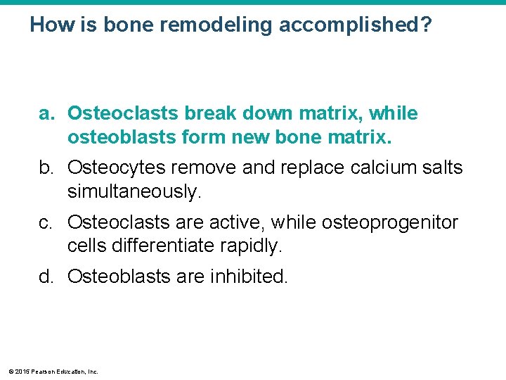 How is bone remodeling accomplished? a. Osteoclasts break down matrix, while osteoblasts form new
