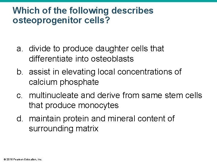 Which of the following describes osteoprogenitor cells? a. divide to produce daughter cells that