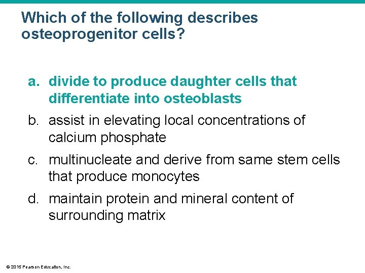 Which of the following describes osteoprogenitor cells? a. divide to produce daughter cells that