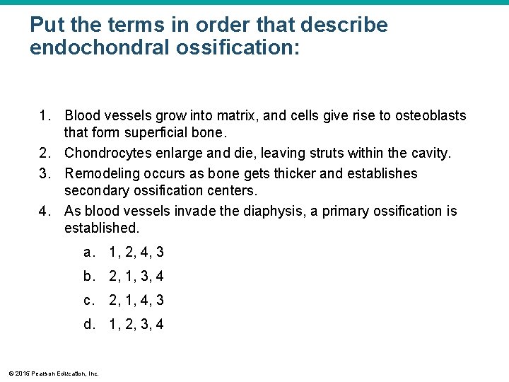 Put the terms in order that describe endochondral ossification: 1. Blood vessels grow into