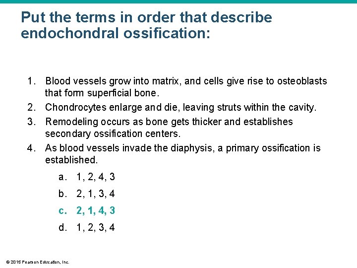 Put the terms in order that describe endochondral ossification: 1. Blood vessels grow into