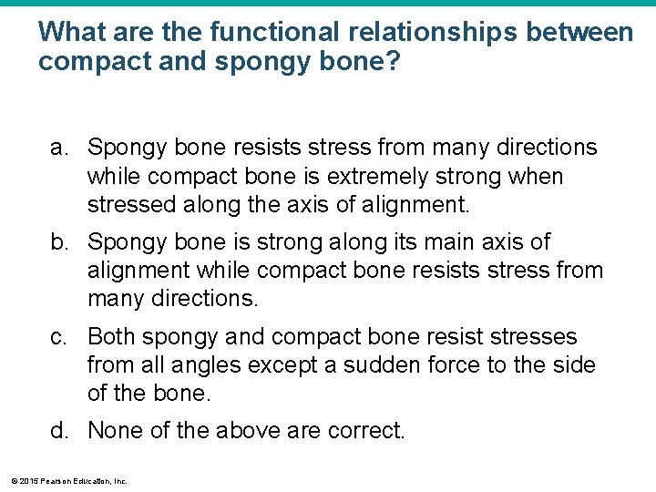 What are the functional relationships between compact and spongy bone? a. Spongy bone resists
