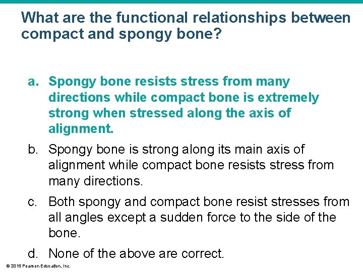 What are the functional relationships between compact and spongy bone? a. Spongy bone resists