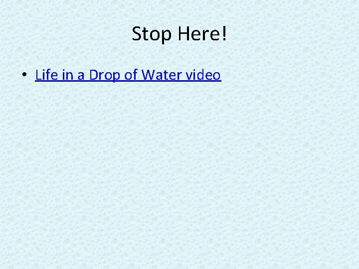 Stop Here! • Life in a Drop of Water video 