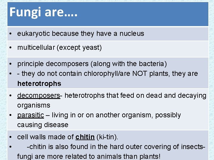 Fungi are…. • eukaryotic because they have a nucleus • multicellular (except yeast) •