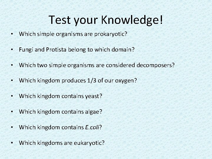 Test your Knowledge! • Which simple organisms are prokaryotic? • Fungi and Protista belong