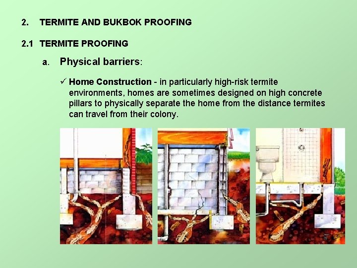 2. TERMITE AND BUKBOK PROOFING 2. 1 TERMITE PROOFING a. Physical barriers: ü Home