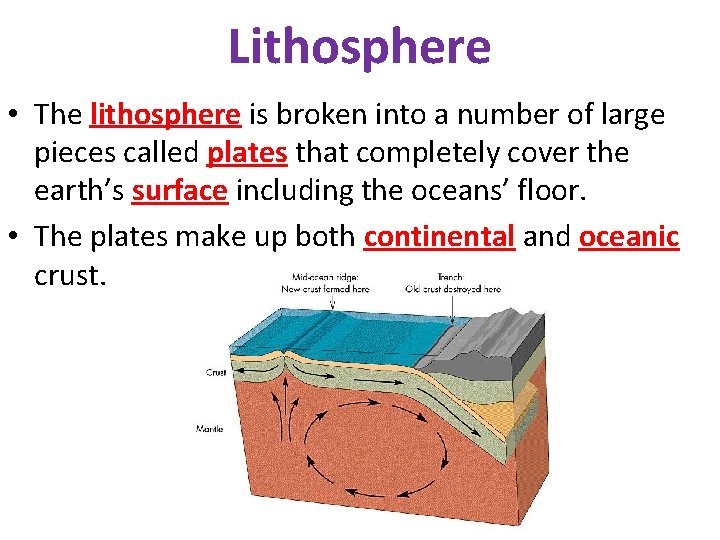 Lithosphere • The lithosphere is broken into a number of large pieces called plates