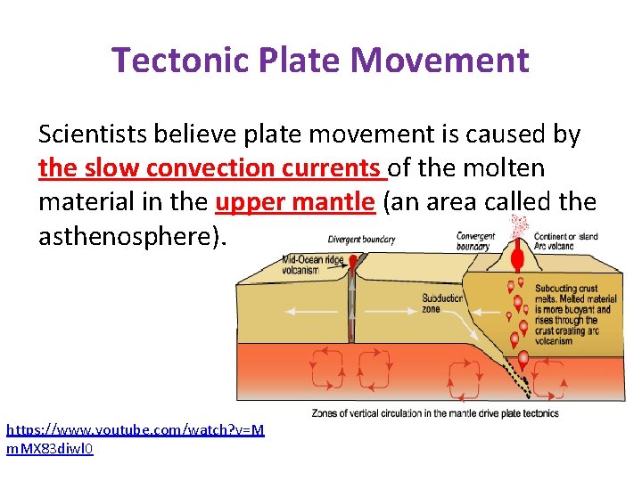 Tectonic Plate Movement Scientists believe plate movement is caused by the slow convection currents