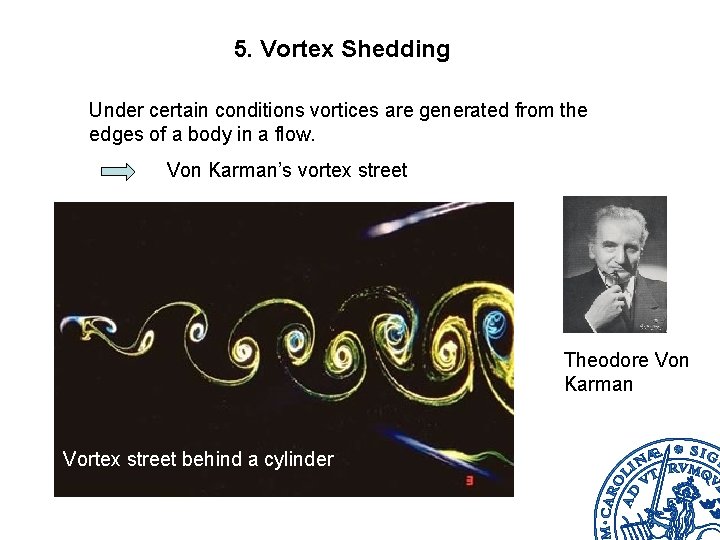 5. Vortex Shedding Under certain conditions vortices are generated from the edges of a