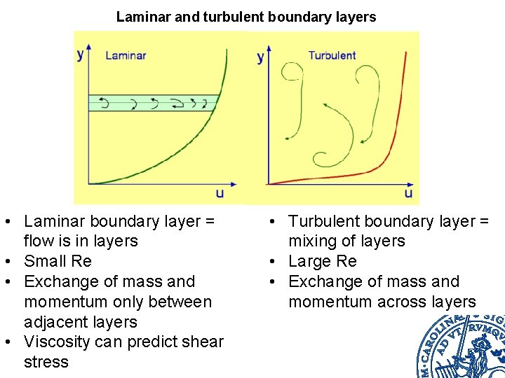 Laminar and turbulent boundary layers • Laminar boundary layer = flow is in layers